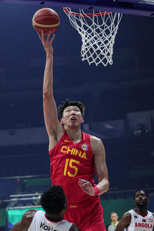 提供了有力