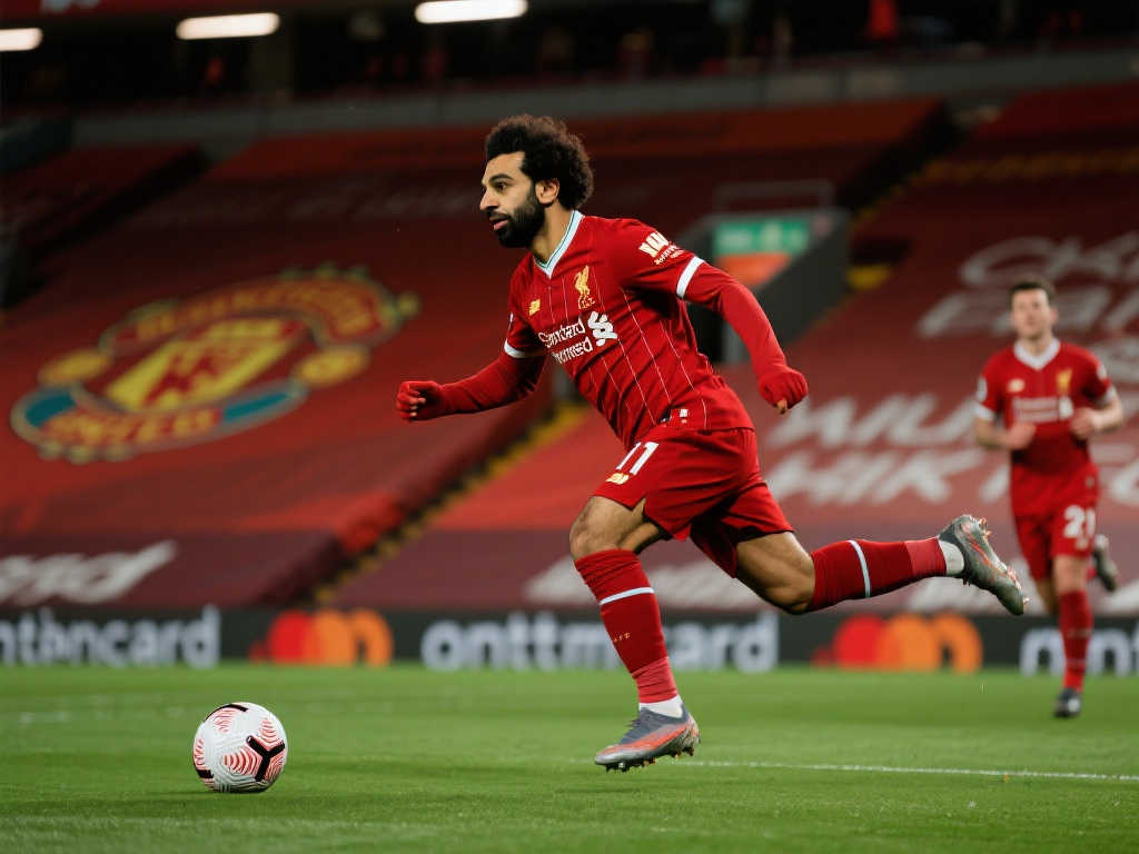 自己的实力 自己的实力