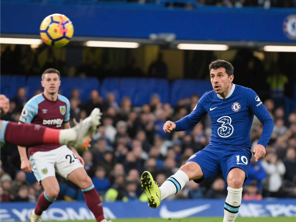 浙江队多次 浙江队多次